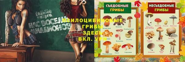 кокаин колумбия Белокуриха