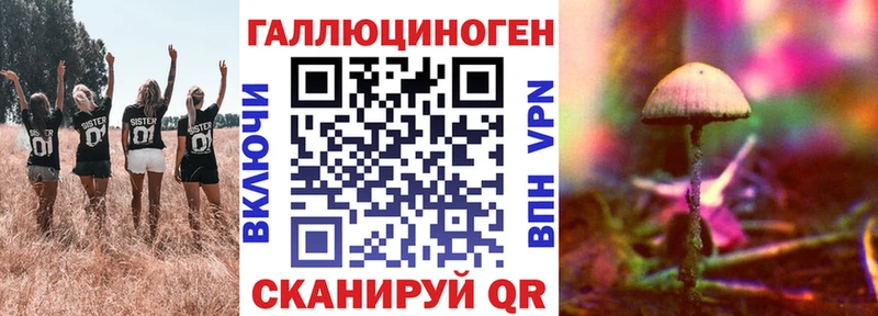 купить  сайты  OMG ТОР  Псилоцибиновые грибы прущие грибы  Боготол 